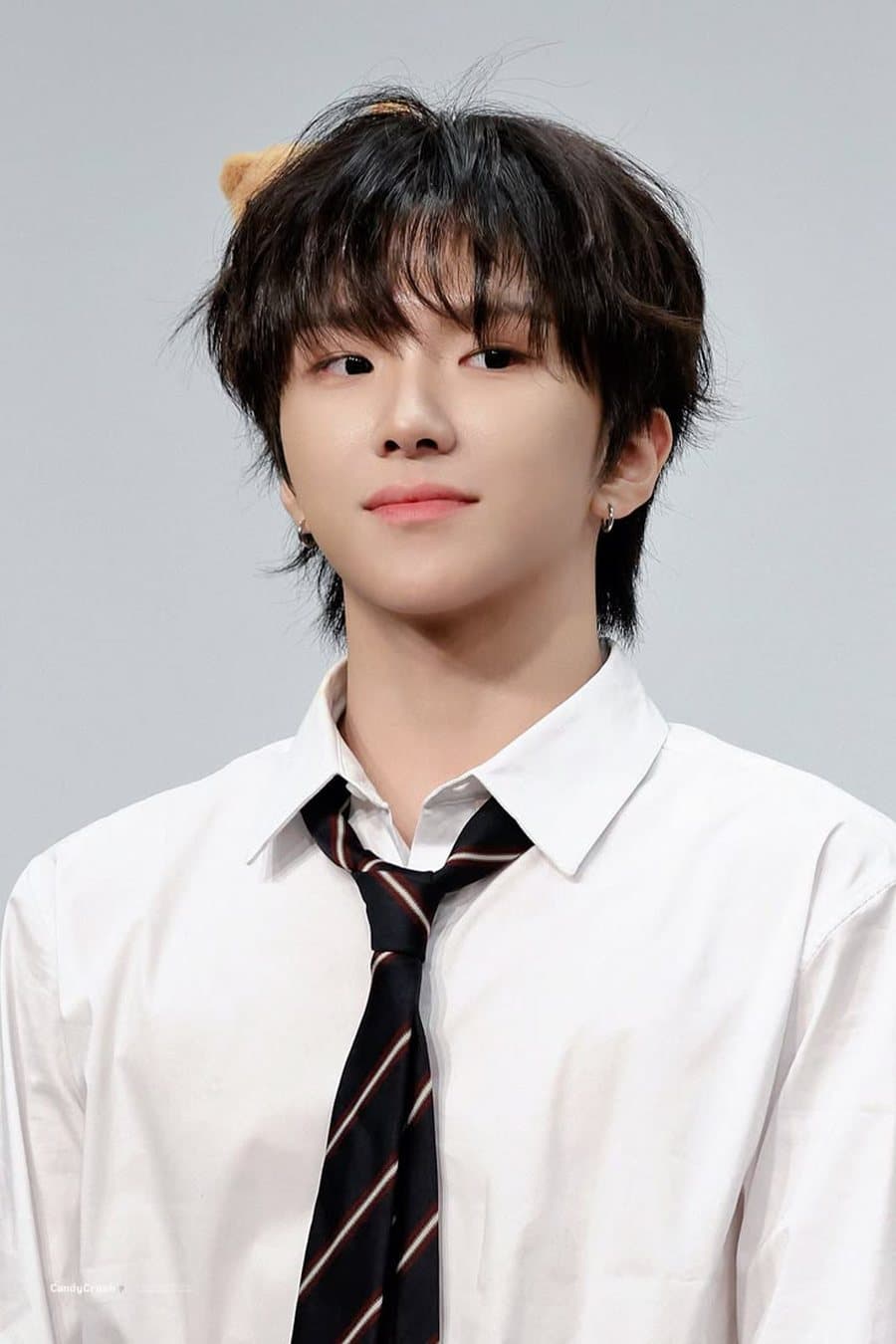Woonhak — WHO!